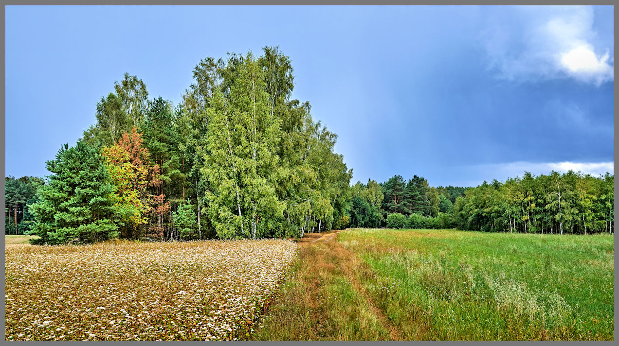 La Terra dei laghi della Pomerania