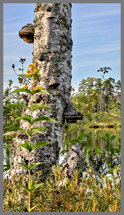 La Terra dei laghi della Pomerania