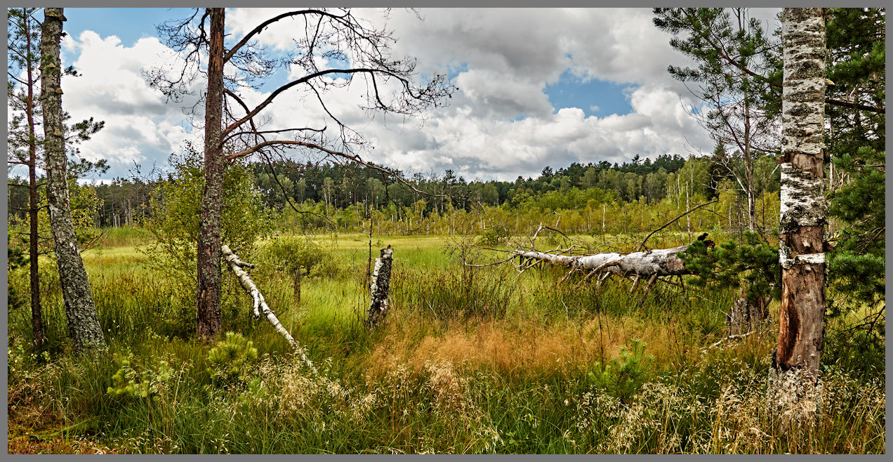 La Terra dei laghi della Pomerania