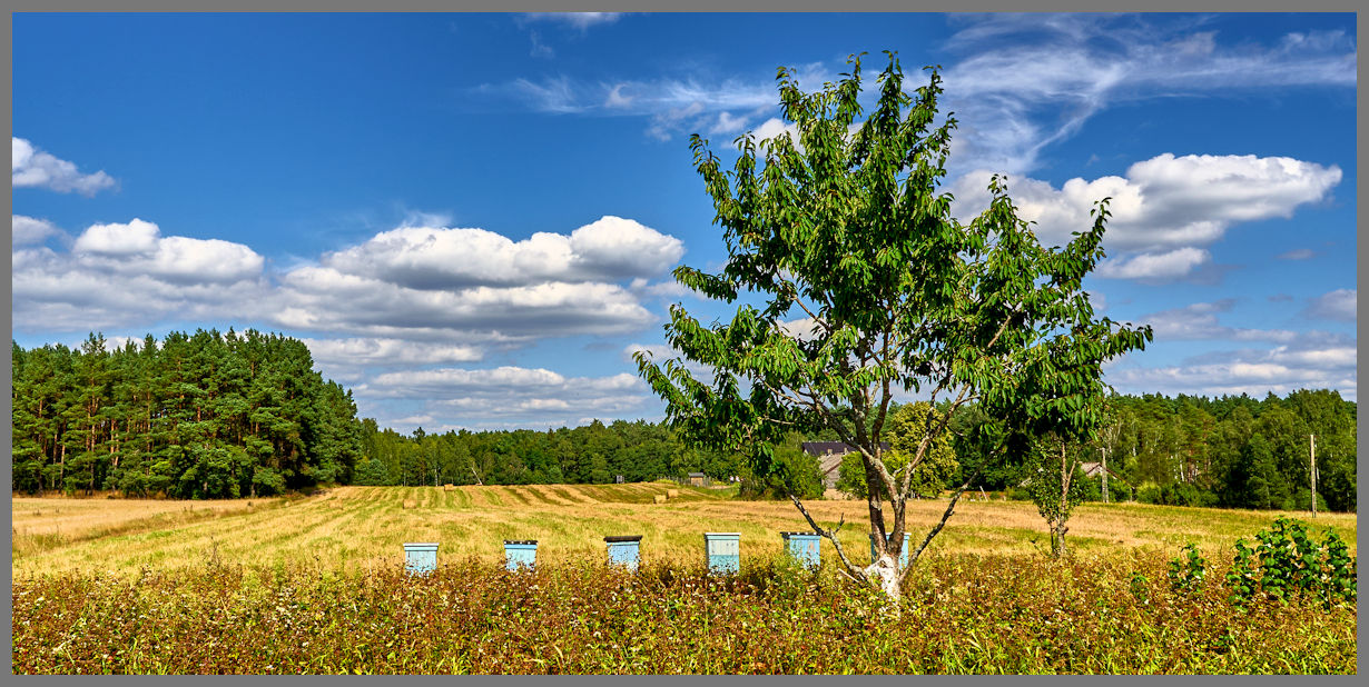 La Terra dei laghi della Pomerania