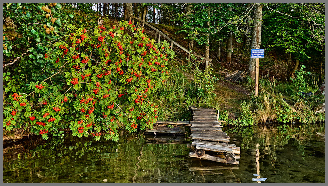 La Terra dei laghi della Pomerania
