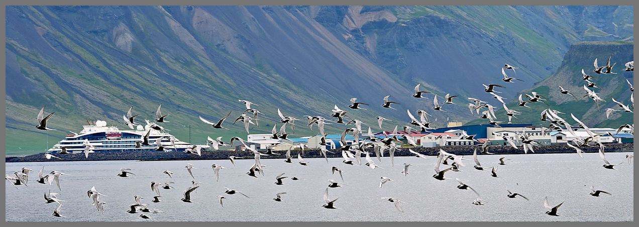 Islanda -Grundarfjörður